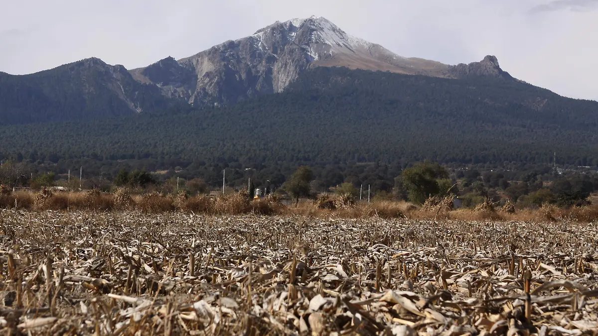 MALINCHE 4